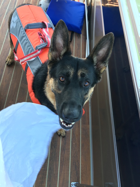 Entry image for Tiana . Clicking this image will show a larger photo