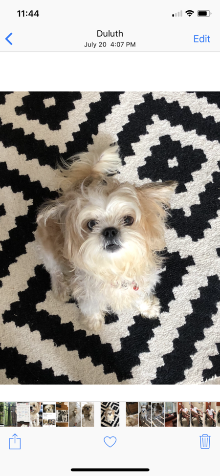 Entry image for Simon. Clicking this image will show a larger photo