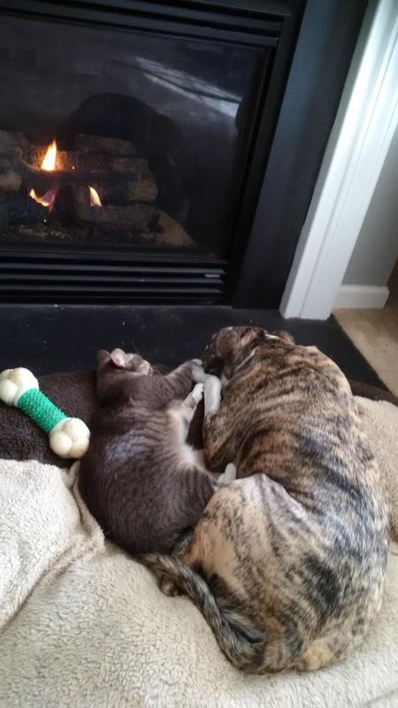 Entry image for Dudley and Cindi Lou. Clicking this image will show a larger photo