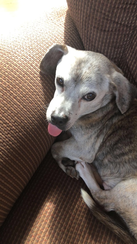 Entry image for Todd. Clicking this image will show a larger photo