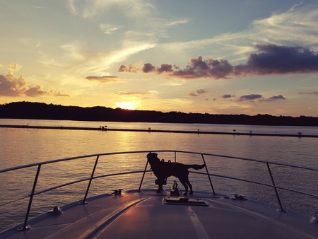 Entry image for Winston. Clicking this image will show a larger photo