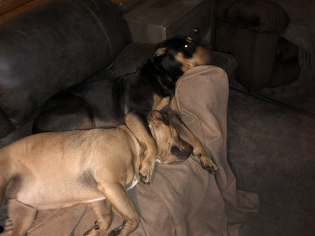 Entry image for Ava and Raylan. Clicking this image will show a larger photo