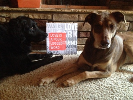 Entry image for Hank and Nicki. Clicking this image will show a larger photo