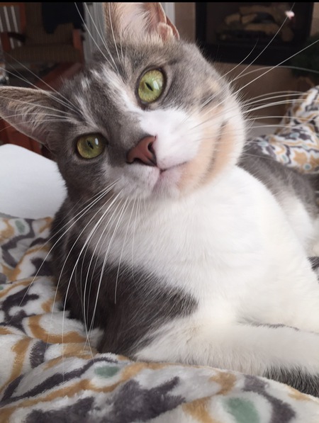 Entry image for Thomas. Clicking this image will show a larger photo