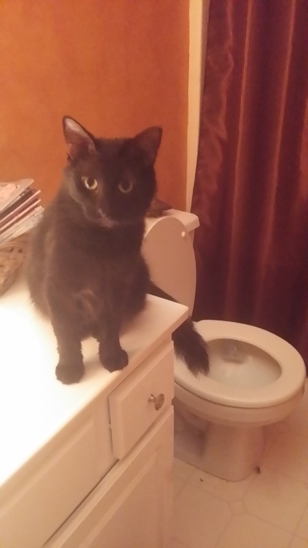 Entry image for Fraser. Clicking this image will show a larger photo