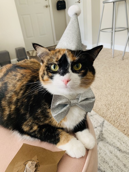 Entry image for Barb. Clicking this image will show a larger photo