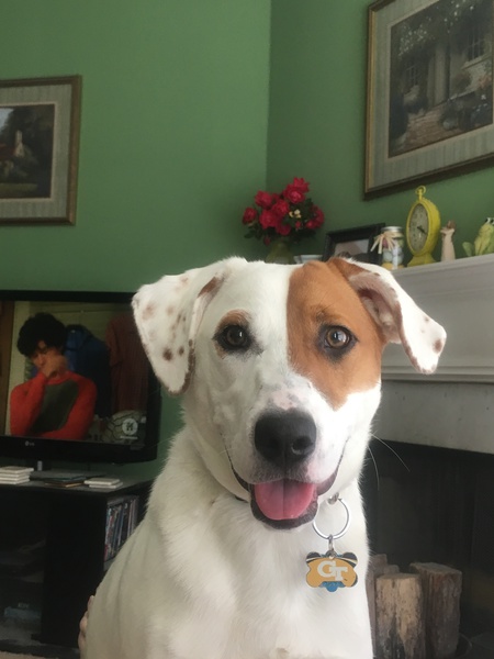 Entry image for Letty. Clicking this image will show a larger photo