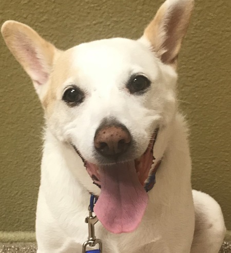 Entry image for Jersey. Clicking this image will show a larger photo