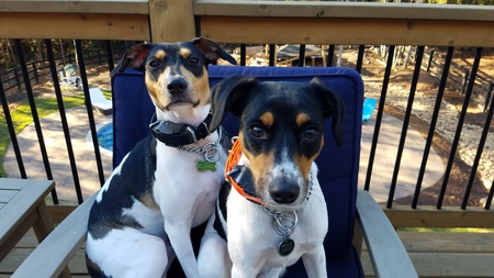 Entry image for Bella and Carl . Clicking this image will show a larger photo