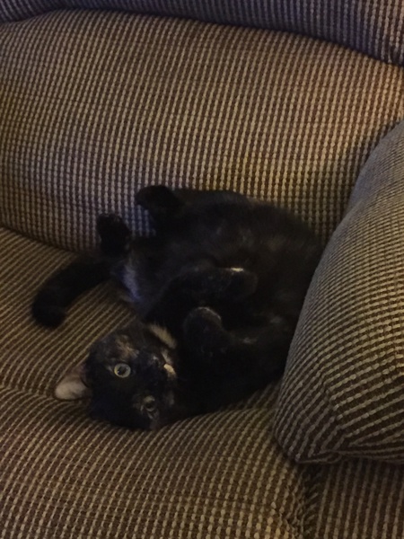 Entry image for Caroline . Clicking this image will show a larger photo