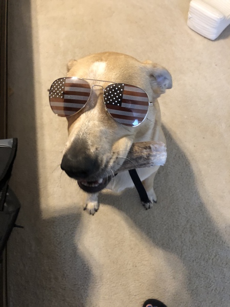 Entry image for Simon Asher. Clicking this image will show a larger photo