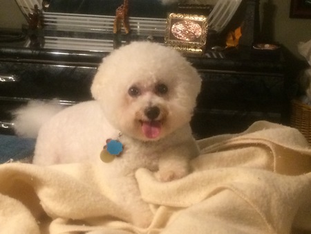 Entry image for Eric. Clicking this image will show a larger photo