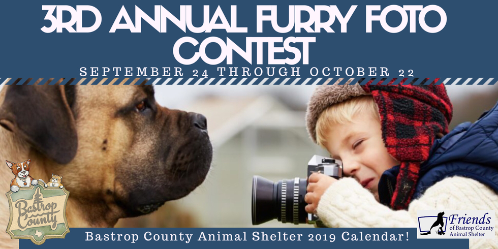 Banner for Bastrop County Animal Shelter Furry Foto Contest and 2019 Calendar