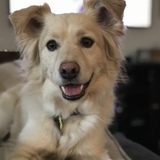 Entry image for Tucker