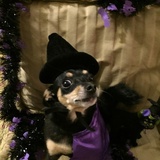 Entry image for Finnegan Shea