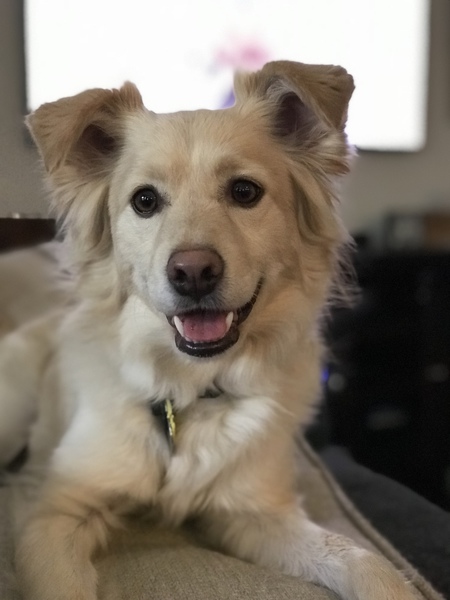 Entry image for Tucker. Clicking this image will show a larger photo