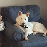 Entry image for Maggie