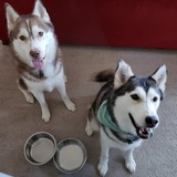 Entry image for Kodiak and Goldilocks