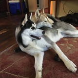 Entry image for Max and Maya