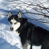 Entry image for NaNook