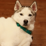 Entry image for Riley