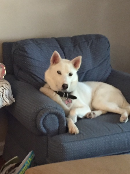 Entry image for Maggie. Clicking this image will show a larger photo