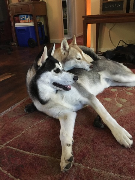 Entry image for Max and Maya. Clicking this image will show a larger photo