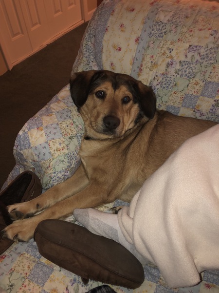 Entry image for Buddy. Clicking this image will show a larger photo