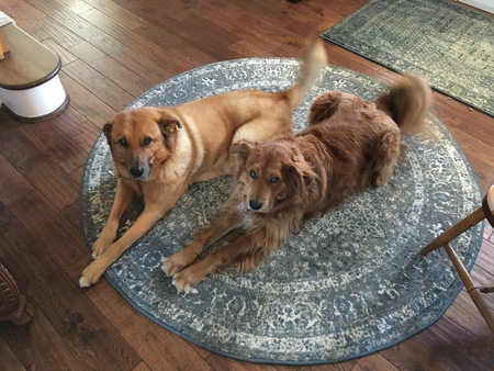 “Teddy” & “Bear”