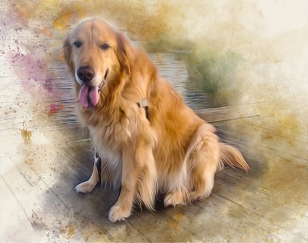 Kodi