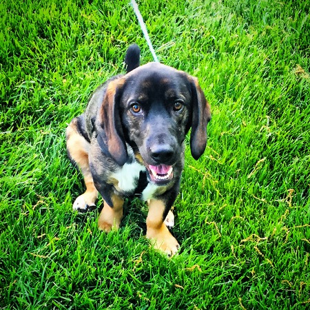 Buster