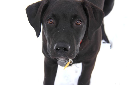 Hudson