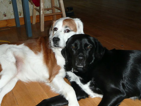 Lami &Smiley
