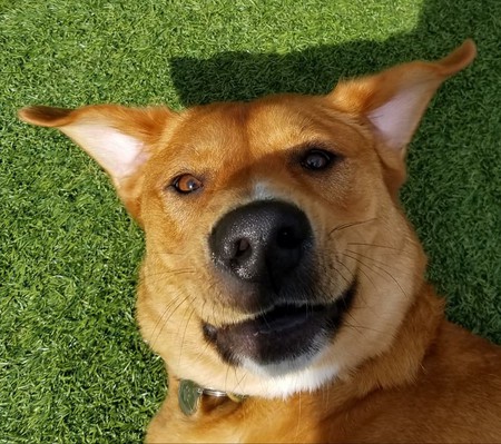 Charlie