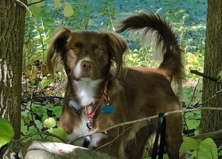 Shiloh