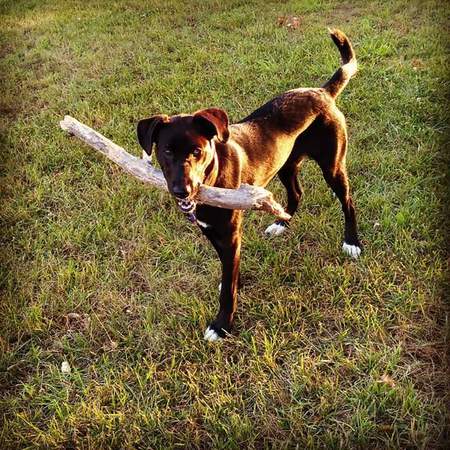 Lucy