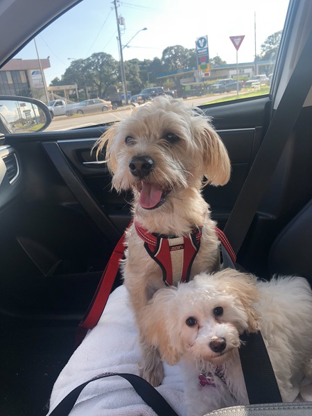Samsonite and Bailey