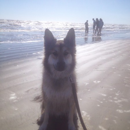 Asher