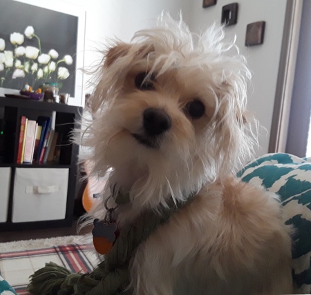Harvey