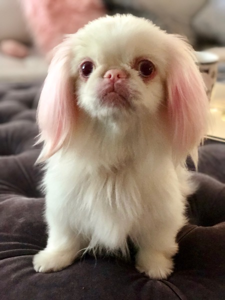 Delores