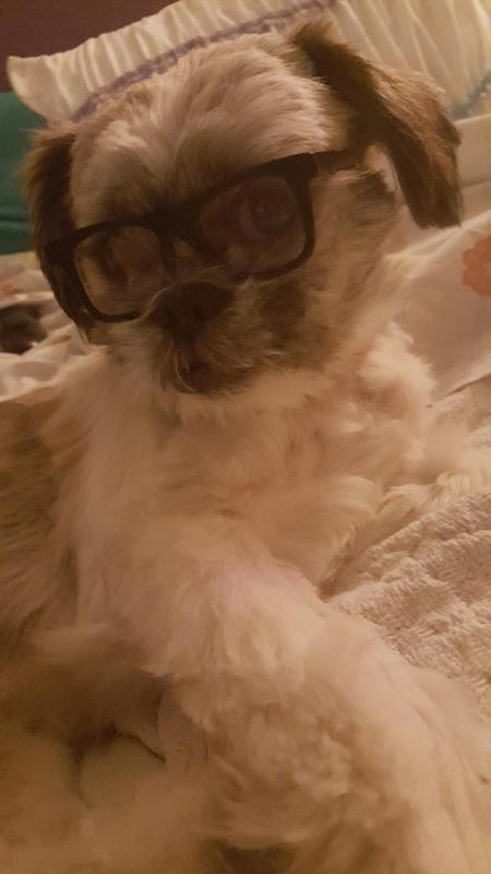 Marley