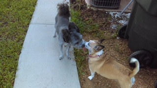Molly and Brianna
