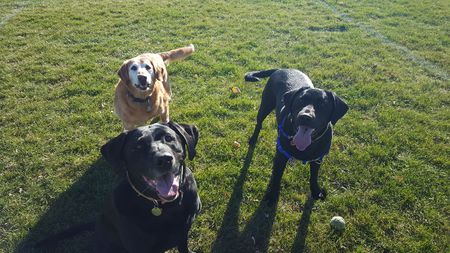 Charlie, Sabrina, & Cooper