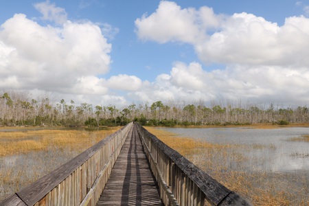 Boardwalk to Beyond Tomorrow