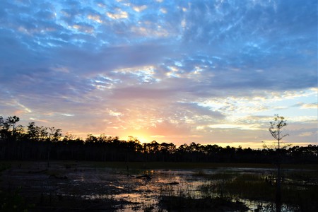 Twilight over Grassy Waters