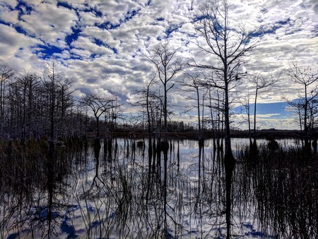 Reflection