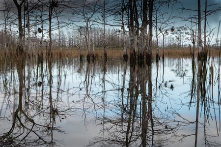 Reflections at end of day