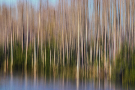 grassywaters in abstract