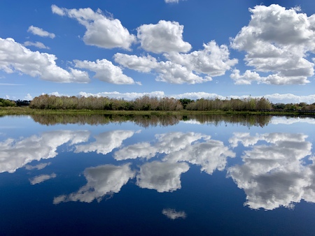 Mirrored Beauty