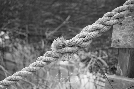 Tied to the dock